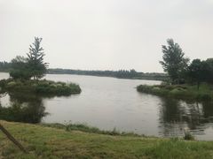 -东郊湿地公园
