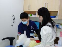 -美联众合动物医院·24h京西诊疗中心