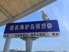 -海驴岛(荣成市)