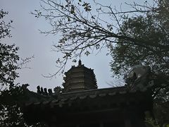 -高尔山公园