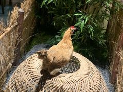 -洞庭土菜馆(天河北总店)