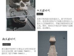 -陕西历史博物馆