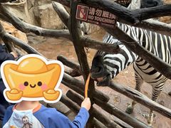 -长鹿旅游休博园