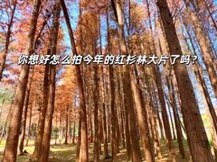 -佛冈森波拉度假区