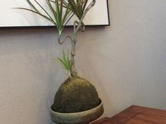 -王府茶宴(大观园总店)