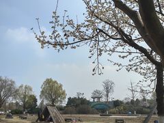 -国际非物质文化遗产博览园