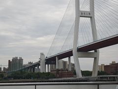 -江边城外烤全鱼(世茂广场店)