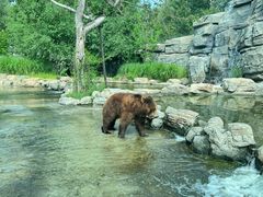 -北京野生动物园