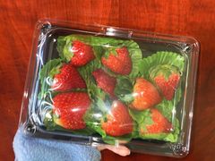 -百果园PAGODA(中铭豪园店)