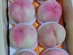 -南汇水蜜桃采摘(大团店)