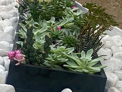 -上海雅居乐万豪侯爵酒店