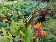 -上海市龙华烈士陵园