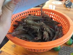 天域渔家火锅-渔家火锅·海鲜自助餐·演艺(亚龙湾天域酒店)