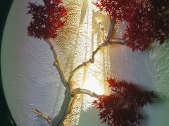 -江南足纪·影院足道·轻奢SPA(笋岗HALO广场店)