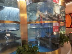 -蜀滋香鲜鱼美蛙火锅(339店)