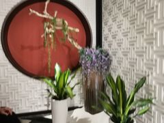 -圆苑(金茂店)