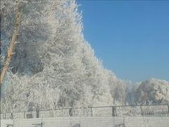 -北陵公园