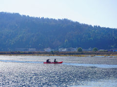 -腾冲北海湿地