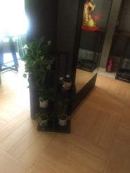 -香秀空间科技抗衰·美容中心