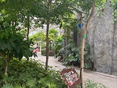 -南宫五洲植物乐园