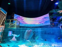 -沈阳海洋探索中心