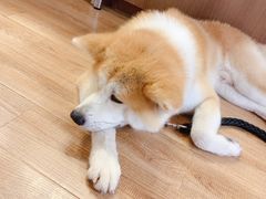 -YCHL Studios健身工作室(市二宫店)