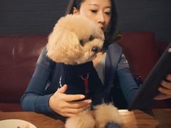 -百好乐宠物友好餐厅(朝外大街店)