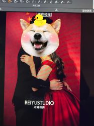 -北遇映画PHOTO GRAPHY STUDIO