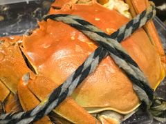 -黄记大闸蟹专卖店·活蟹·醉蟹