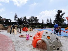 -铁山坪森林公园