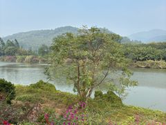 -东南花都花博园