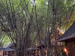 -勐丽梦兰傣味餐厅