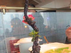 -三生三味密宗川菜·江景餐厅(来福士店)