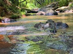 -黄埔油麻山森林公园