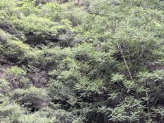 -龙门涧景区