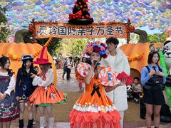 -灵玲国际马戏城