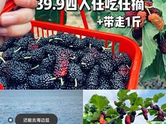 -黄埔古港