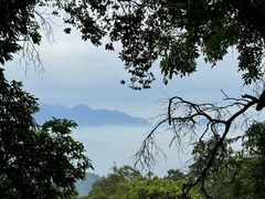-青城山