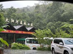 -普洱太阳河森林公园