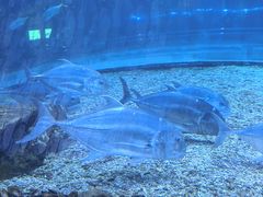 -华夏文旅西安度假区