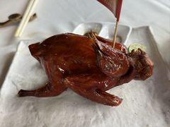 -侨美·唐荔园·40年地道粤菜