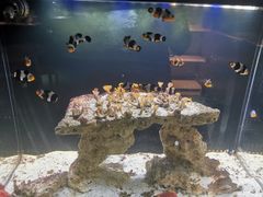 -沈阳海洋探索中心