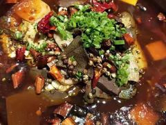 风味毛血旺-大鸭梨烤鸭(左家庄店)