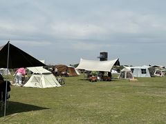 -春花秋色城市公园