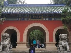 -灵谷景区