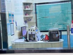 -天宠宠物医院24小时·急重症诊疗中心·全科·腔镜特色(和平分院)