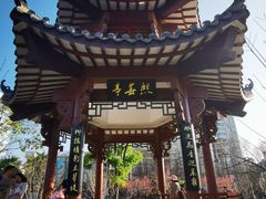 -四海公园(南山区)