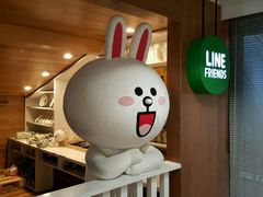 -line friends(明洞旗舰店)