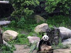 -宁波野生动物园