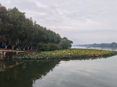 -西湖游船
